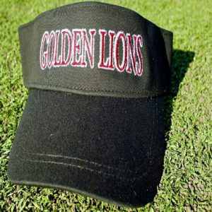 SUN VISOR